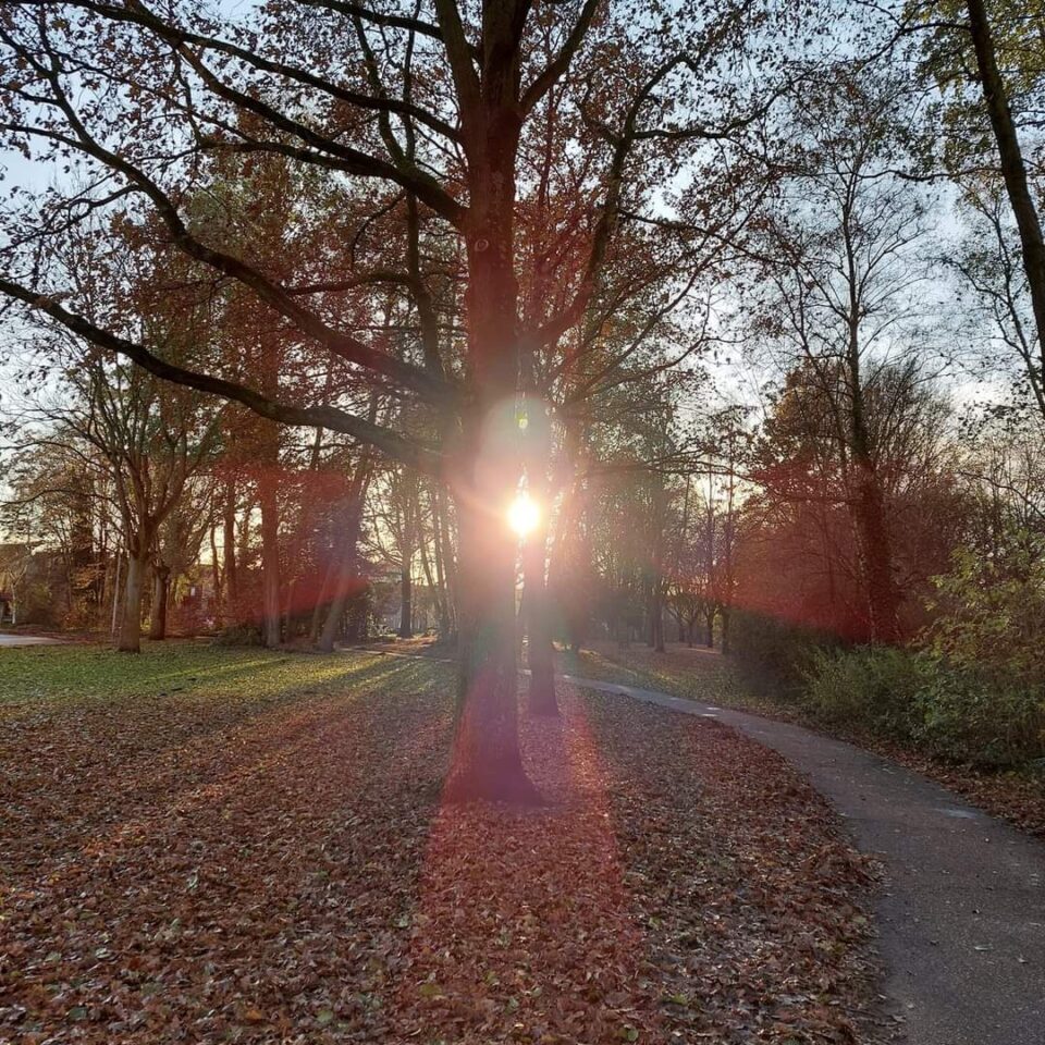 Spiritualiteit